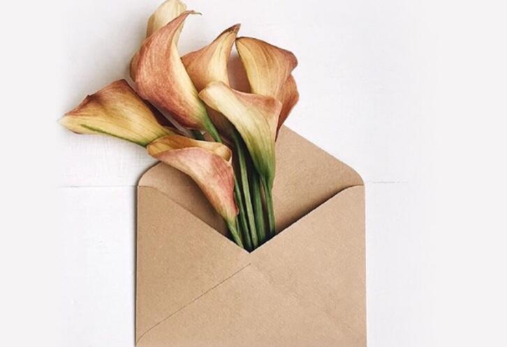 感人的情话文案