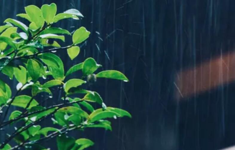 形容相遇是缘分的诗句文案