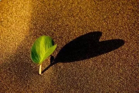 关于初心的名言