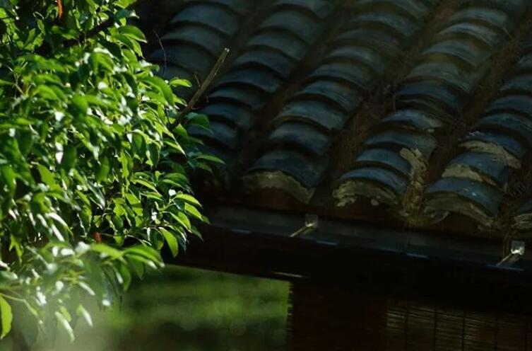 关于自我反省的诗句文案