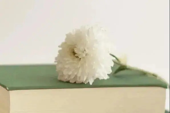 关于青春的句子文案励志短10字内