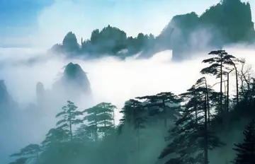 关于山的哲理句子文案