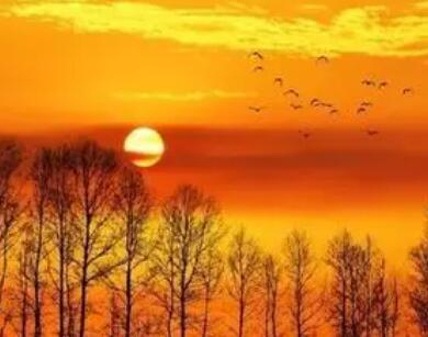 关于夕阳的诗句文案