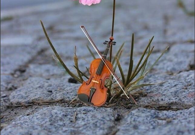 自己早安心情说说文案