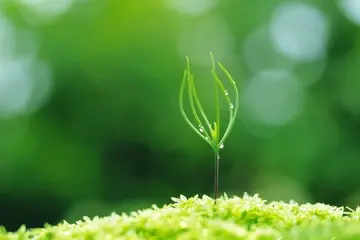 励志早安心语简短一句话