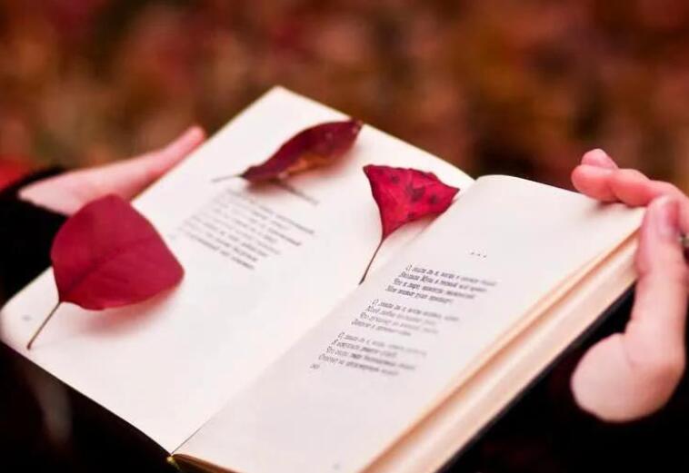 50字读书笔记五十篇