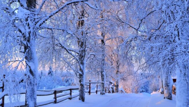 开年第一场雪的赞美词