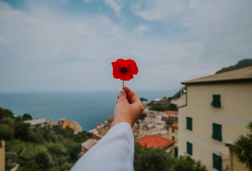 坚持和努力的心灵鸡汤