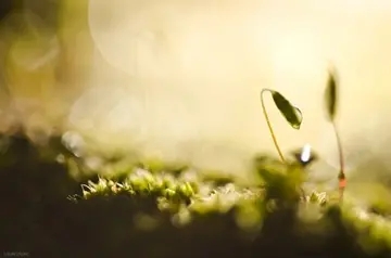 男人有素质有涵养的句子文案