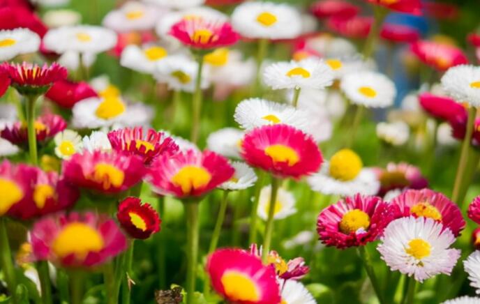 正能量早安问候语简短一句话