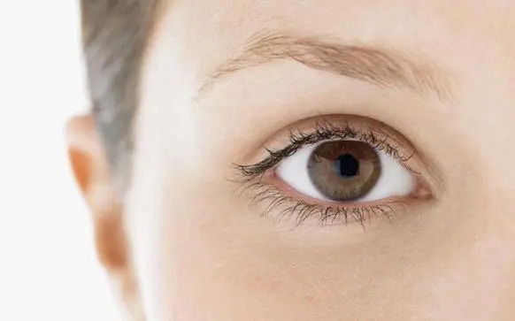 关于眼睛的文案