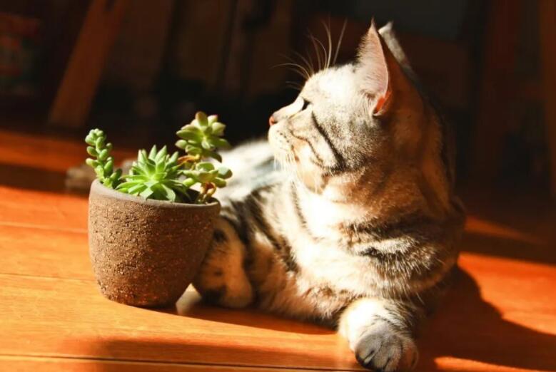 感慨的句子文案