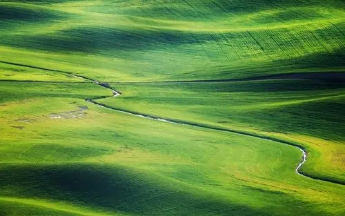 关于自然的名言