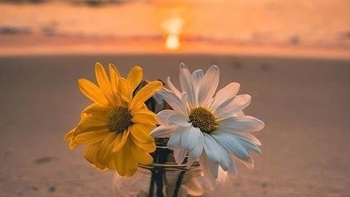 女生朋友圈短句