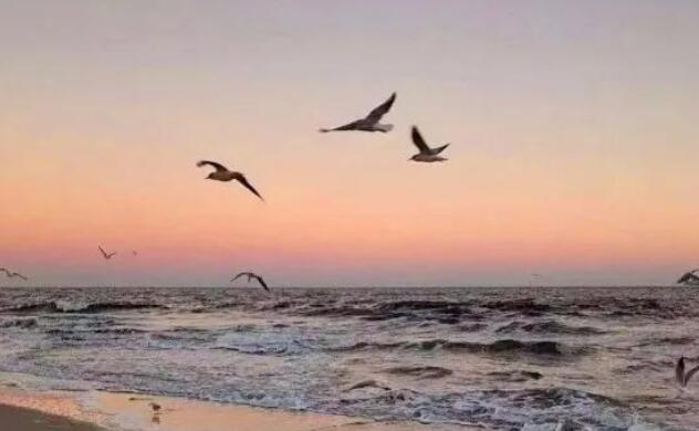 暖心短句小清新8字英语