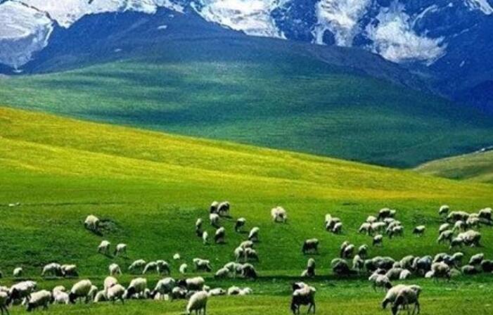 草原发朋友圈的句子文案