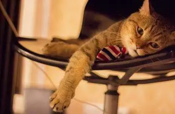 暗示自己失落的句子文案