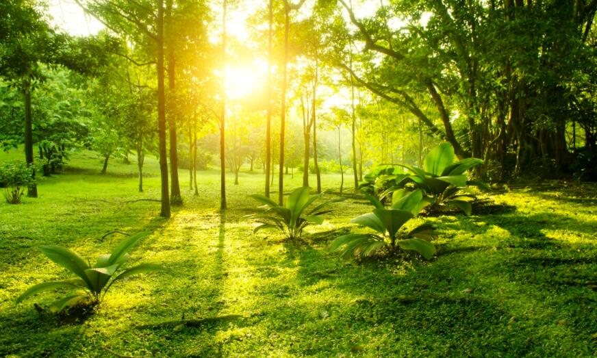 男早安短语吸引女孩的