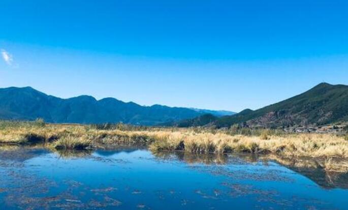 晨读正能量句子文案50字