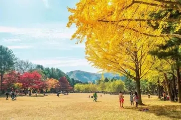 早安友情温馨问候