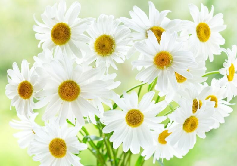 简短励志句子文案10字以内