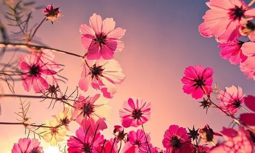 简单生活唯美的句子文案