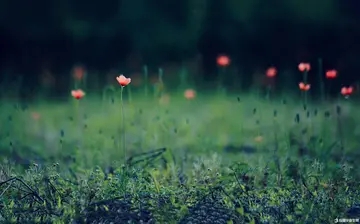 微信正能量的句子文案