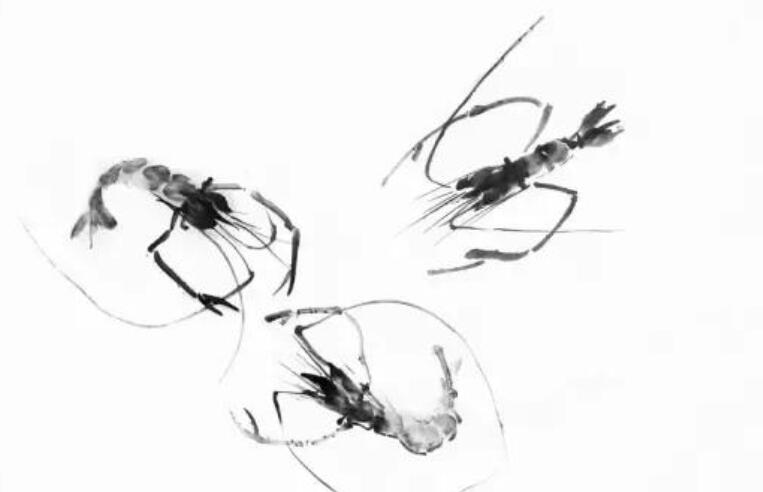 表达痛恨一个人的诗句文案