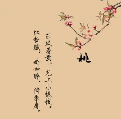 与花有关的诗句文案