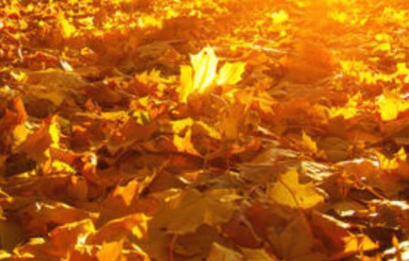 好风景配好心情的说说文案伤感