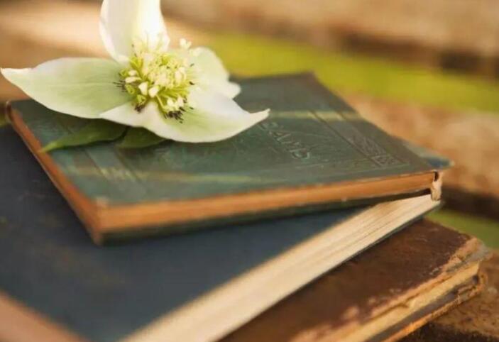 关于知识的励志语录文案