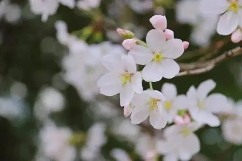 妈妈对女儿的感言