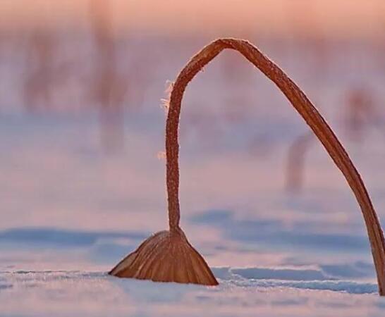 人与人之间感悟的句子文案