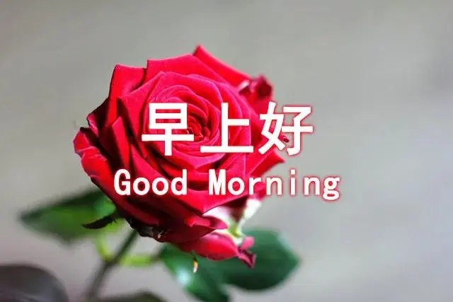 早上好送给情人的短句情话文案