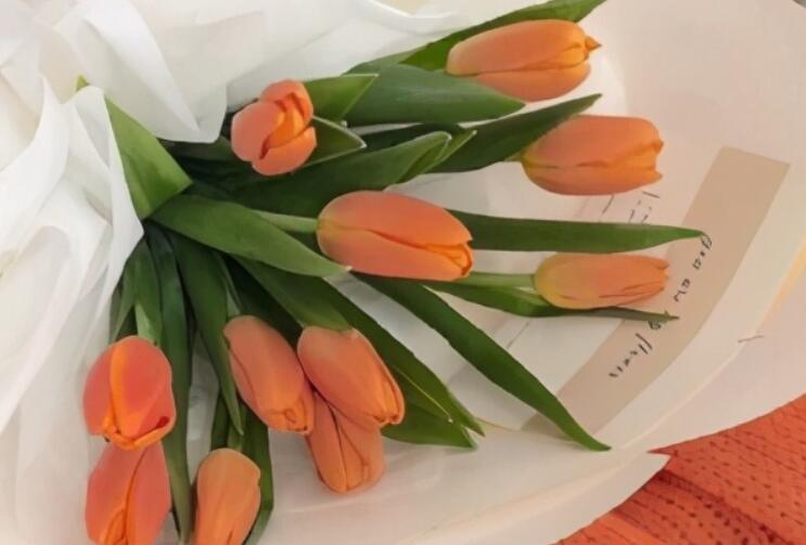 微信现实说说文案心情