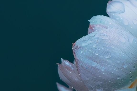 领悟人生哲理的句子文案简短