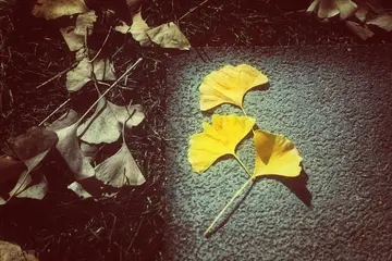 情感励志语录文案