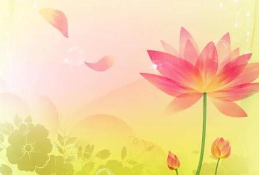 表达思念的句子文案