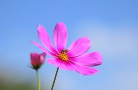 日常高情商早安问候