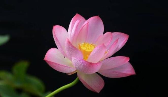 中年说说经典语录文案