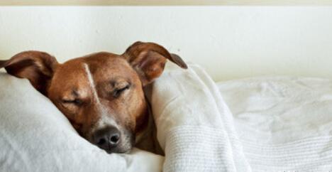 朋友圈晒体重怎么说