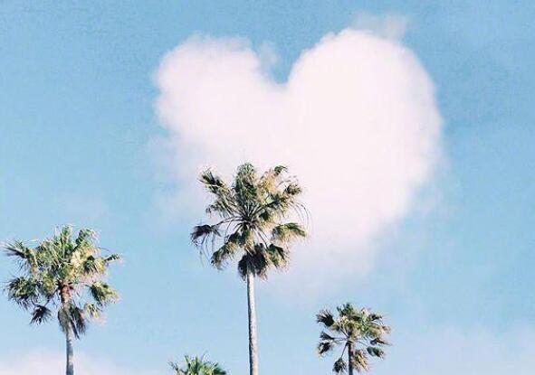 心宽的经典句子文案