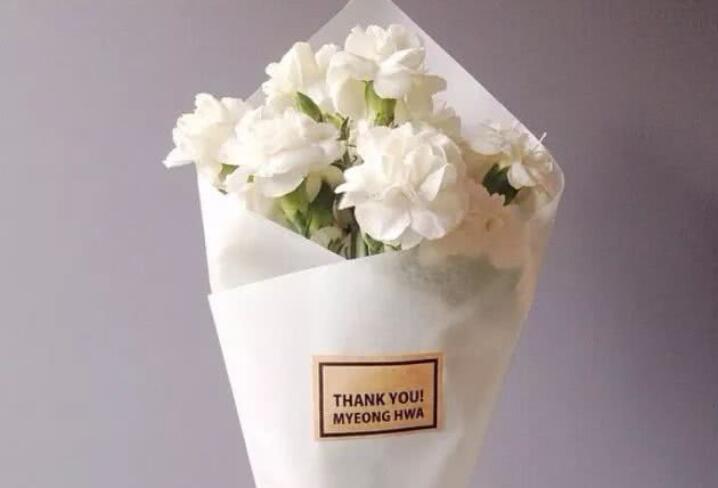 禅意顿悟人生的句子文案