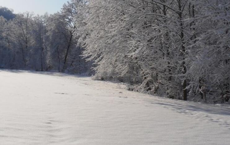 春天大雪的伤感说说文案心情短语