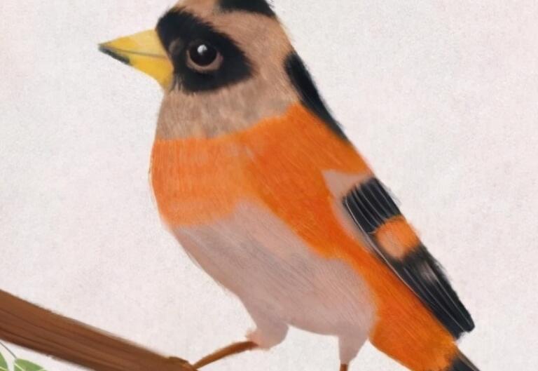 描写人生感悟的句子文案