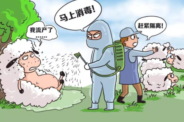 传染病防治宣传标语