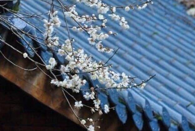 古风文案留言金句