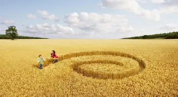 形容很有收获的诗句文案