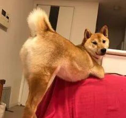 最骚最经典的句子文案