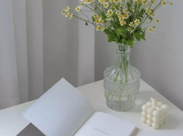 小说里好的句子文案摘抄